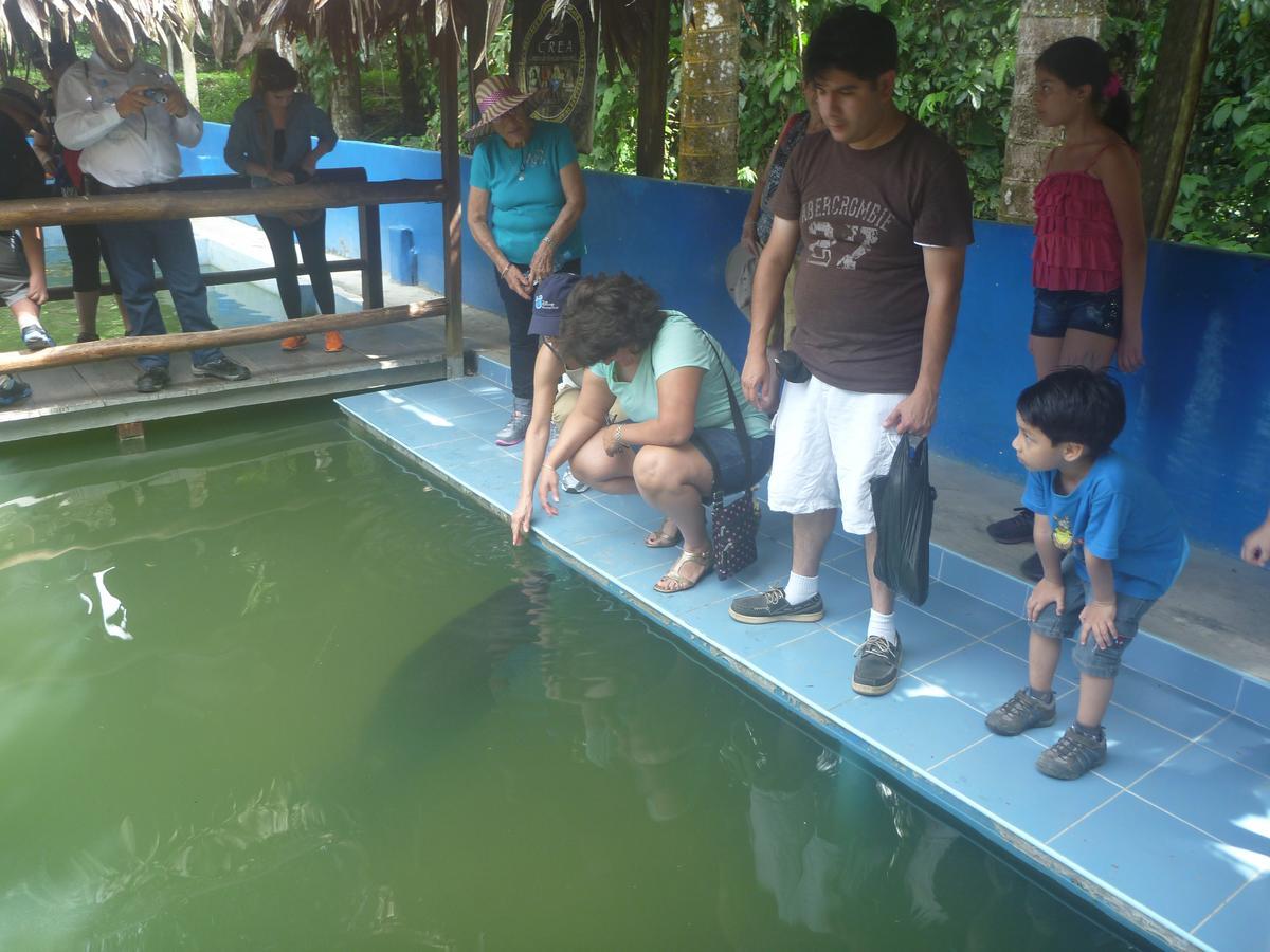 Hospedaje Las Amazonas Икитос Екстериор снимка